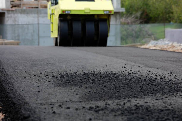 Best Driveway Pavers Contractor  in Wilson, NC