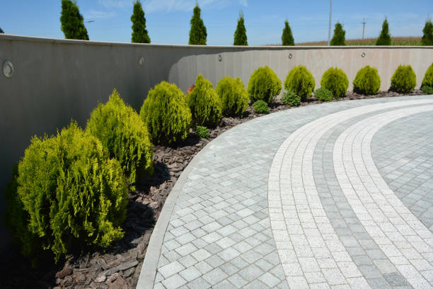  Wilson, NC Driveway Pavers Pros